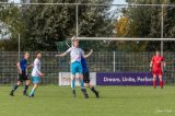 S.K.N.W.K. 1 - Halsteren 1 (comp.) seizoen 2022-2023 (8/75)